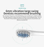 Electric Ultrasonic Toothbrush Six Speed Mode Home Soft Hair USB Charging Waterproof Adult Tooth Cleaner Automatic Couple Set-